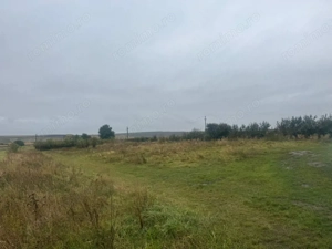 Vanzare 10.000 mp teren Liteni Suceava- la strada -potrivit proiect fonduri - imagine 4