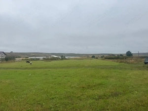 Vanzare 10.000 mp teren Liteni Suceava- la strada -potrivit proiect fonduri - imagine 12