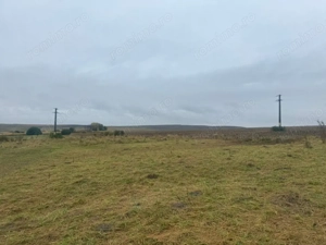 Vanzare 10.000 mp teren Liteni Suceava- la strada -potrivit proiect fonduri - imagine 6