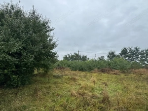 Vanzare 10.000 mp teren Liteni Suceava- la strada -potrivit proiect fonduri - imagine 5