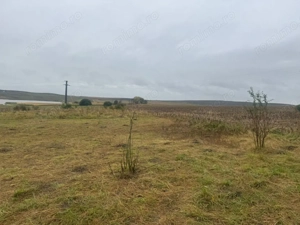 Vanzare 10.000 mp teren Liteni Suceava- la strada -potrivit proiect fonduri - imagine 9