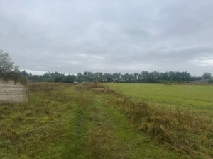 Vanzare 10.000 mp teren Liteni Suceava- la strada -potrivit proiect fonduri - imagine 11