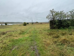 Vanzare 10.000 mp teren Liteni Suceava- la strada -potrivit proiect fonduri - imagine 7