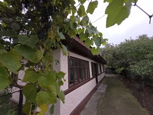 Reducere pret! Casa parter comuna Nuci-Micsunesti- 30 minute capitala