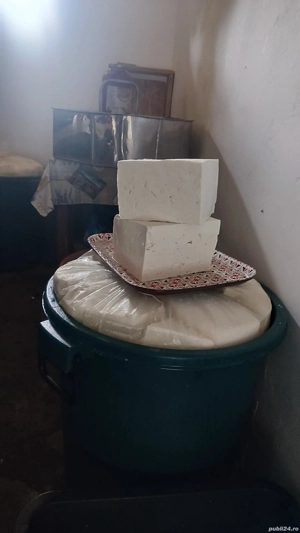 vând brânză telemea de oaie 