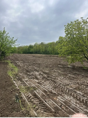 Teren intravilan Tomesti , sat .Chiperesti, com.Tutora