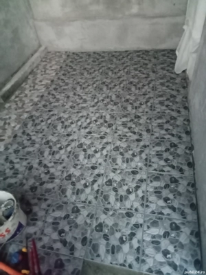 vând sau schimb cu capre sau oi sau vier o pereche purcei la trei luni  - imagine 5