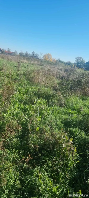 Teren intravilan - imagine 3 Teren intravilan - imagine 3