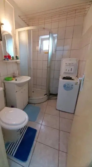 Dambu Pietros - Vanzare apartament 2 camere - Str. Ion Buteanu - imagine 8