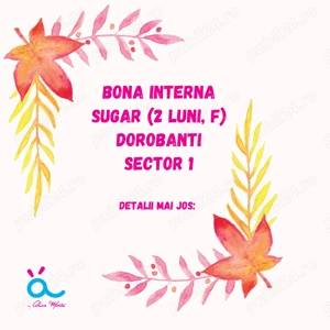 Bona interna pentru sugar de 1 luna - Dorobanti