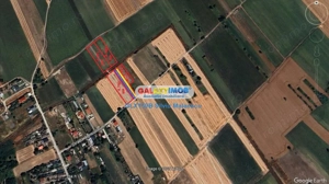 Crevedia - Darza - Teren 13.055 Mp - imagine 6