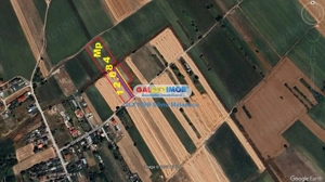 Crevedia - Darza - Teren 13.055 Mp - imagine 5