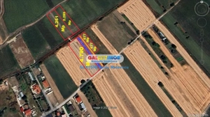 Crevedia - Darza - Teren 13.055 Mp - imagine 8