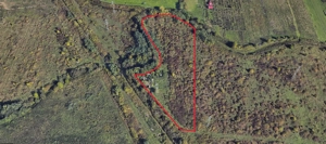 Vand teren 12.800 m  - imagine 2