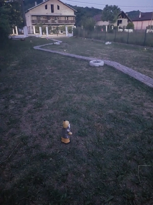 Vând casă. - imagine 6