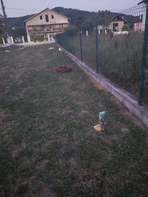 Vând casă. - imagine 3