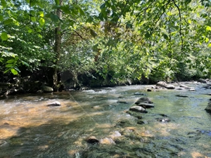 Teren 2,932mp Sarbi (Budesti) / Drumul Principal - imagine 3