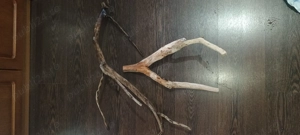 Acvariu Juwel de vânzare  - imagine 5