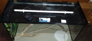 Acvariu Juwel de vânzare  - imagine 3