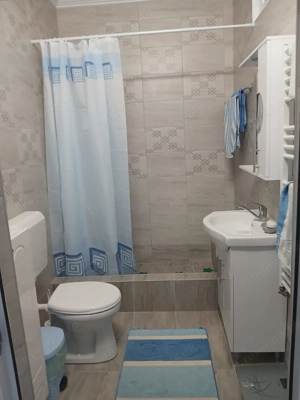 Vând, schimb casă în Ineu, județul Arad  - imagine 4