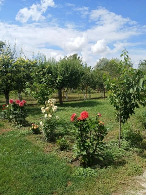 Vând, schimb casă în Ineu, județul Arad  - imagine 6