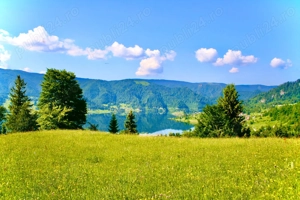 Teren Intravilan Colibita 756mp