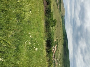  Vând teren intravilan 2200mp în Cluj .Baciu sat Rădaia   - imagine 4