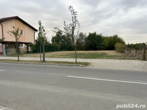 Teren 866mp Calea Buziasului Hornbach - imagine 3