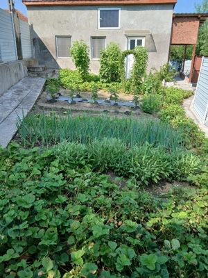 Casă de vânzare Nădăstia de jos