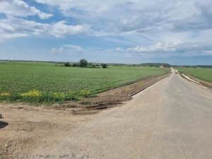 Vanzare teren Clinceni - imagine 3