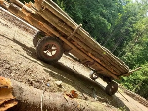 De vânzare cal de 9 ani tragi bine ie cuminte se probează unde vrea clientul se vine tot cu căruța   - imagine 4