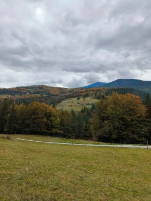 Teren Arieșeni - imagine 3