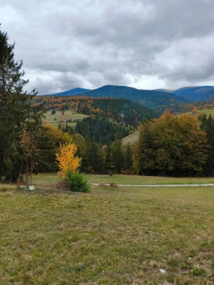 Teren Arieșeni - imagine 4