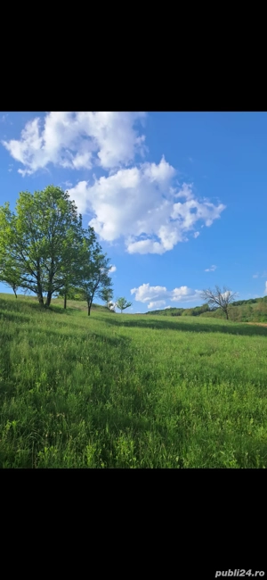 Teren intravilan 3380m