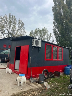 container 7m