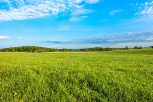 Teren 2800 mp Preajba, Târgu Jiu   posibil intravilan, vis-a-vis de Prima Casă