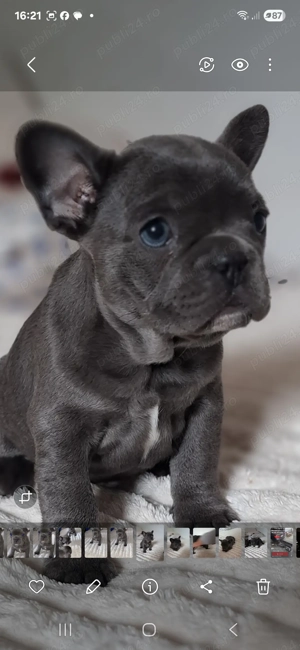 Cadoul  ideal  pt copii - imagine 4