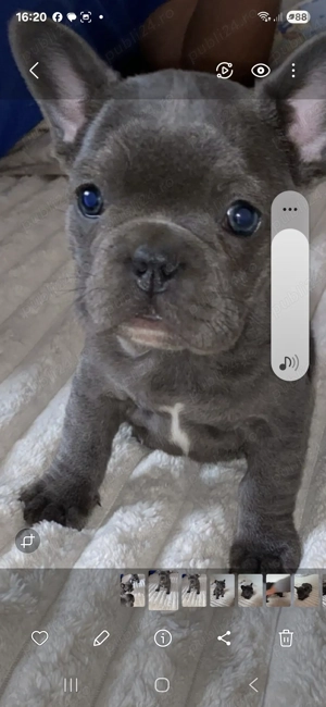 Cadoul  ideal  pt copii - imagine 2