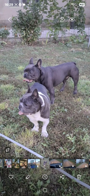 Cadoul  ideal  pt copii - imagine 5