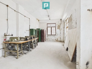 Spațiu de producție cu 4 camere în Periam - imagine 4