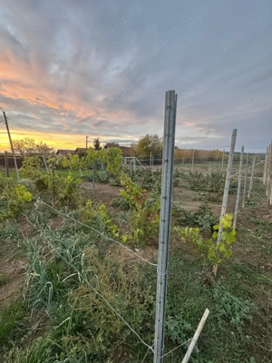 Vând teren intravilan, com. Ineu, Bihor - imagine 4