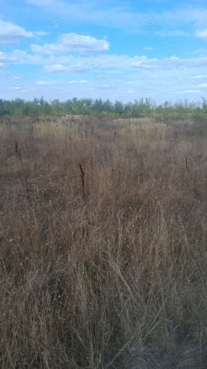 Teren intravilan Corbeanca Balotesti 25.000 euro utilitati la poarta - imagine 2 Teren intravilan Corbeanca Balotesti 25.000 euro utilitati la poarta - imagine 2