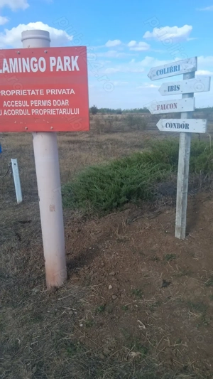 Teren intravilan Corbeanca Balotesti 25.000 euro utilitati la poarta