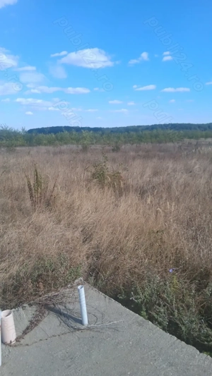 Teren intravilan Corbeanca Balotesti 25.000 euro utilitati la poarta - imagine 3 Teren intravilan Corbeanca Balotesti 25.000 euro utilitati la poarta - imagine 3