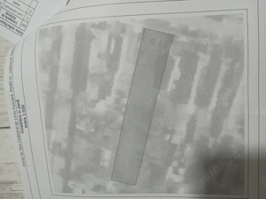 Teren 1094 Tichilesti