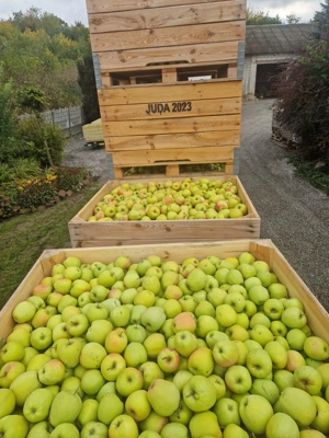 Mere de vânzare  - imagine 2