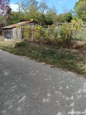 vand teren intravilan 700mp