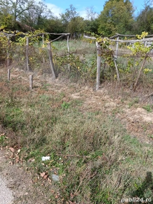 vand teren intravilan 700mp - imagine 2