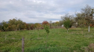 Loc de casă cu livadă și corp de clădire - imagine 2