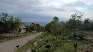 Loc de casă cu livadă și corp de clădire - imagine 4